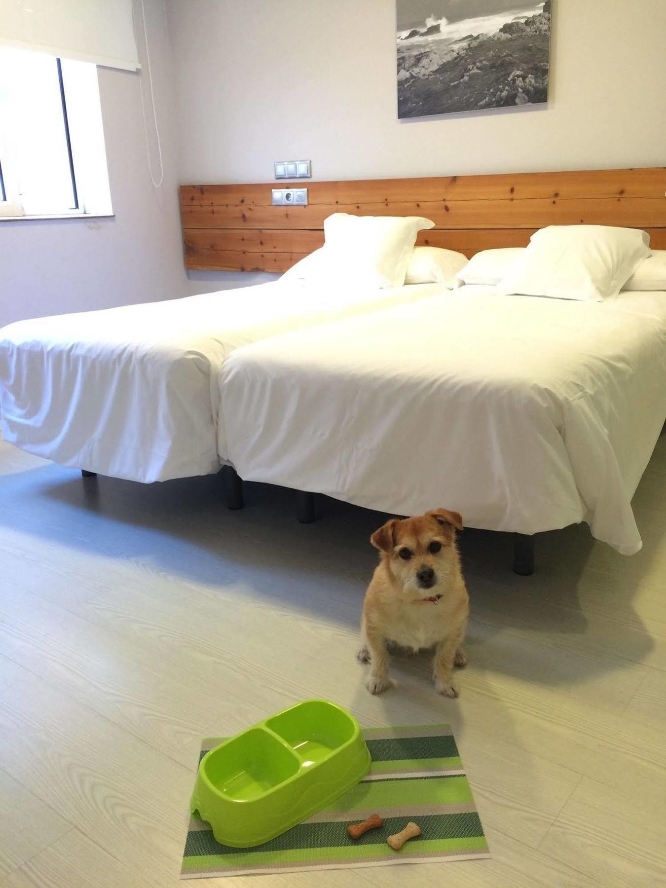 Hosteria 산탄데르 외부 사진